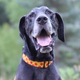 Duke